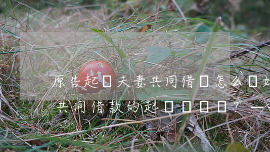原告起訴夫妻共同借錢怎么寫，如何撰寫夫妻共同借款的起訴狀？——以'原告起訴夫妻共同借錢怎么寫'為關鍵